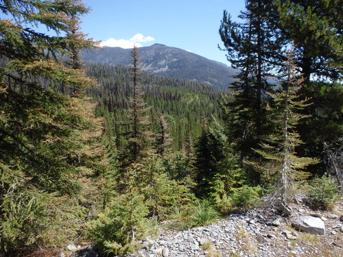 GDMBR: Our view to the northeast from near Huckleberry Pass.